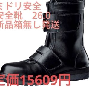 ミドリ安全 安全靴 RT735