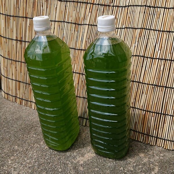 青水グリーンウォーター350ml