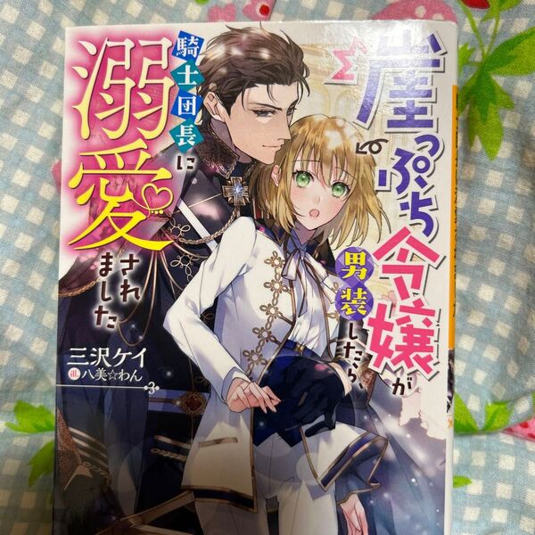 崖っぷち令嬢が男装したら、騎士団長に溺愛されました (ベリーズ文庫 Iみ2-2) 三沢ケイ/著
