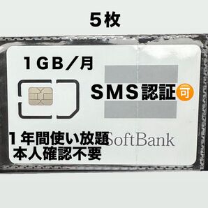 SIMカード 月1GB/1年間SoftBank回線 5枚