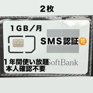 SIMカード 月1GB/1年間SoftBank回線 2枚