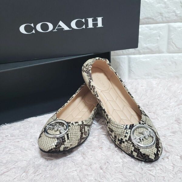 COACH コーチ パイソン フラットシューズ パンプス23.5cm 極美品 バレエシューズ