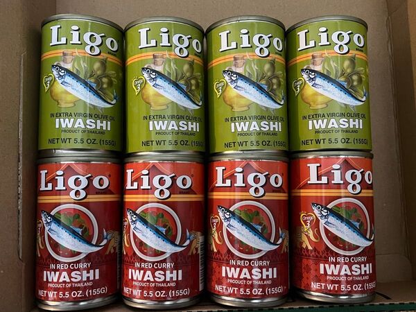 新品未開封 Ligo イワシ入り レッドカレー グリーンカレー 非常食 缶詰 8缶セット