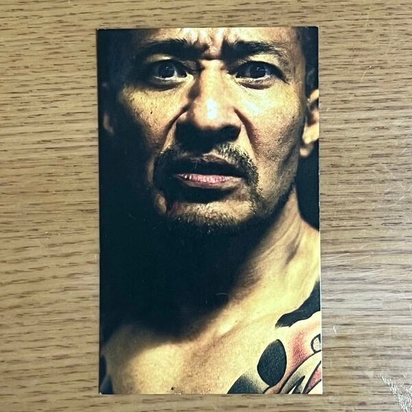 映画 田村悠人 名刺 カード 日本統一 入場者特典 日本統一