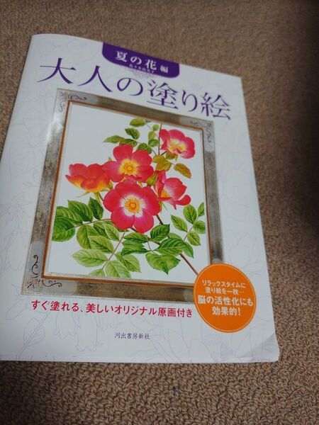 大人の塗り絵 夏の花 編 角折れあり
