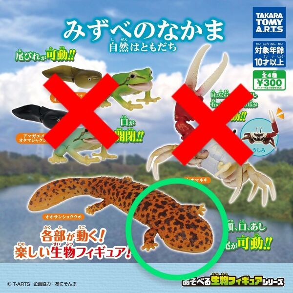 みずべのなかま 自然はともだち 【オオサンショウウオ】 未開封品 1個 タカラトミーアーツ TAKARA TOMY ARTS