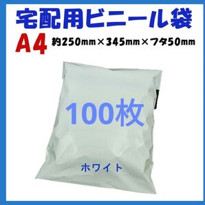 宅配ビニール袋 A4横250㎜×縦340㎜+フタ50㎜ 100枚