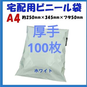 厚手宅配ビニール袋 A4横250㎜×縦340㎜+フタ50㎜ 100枚
