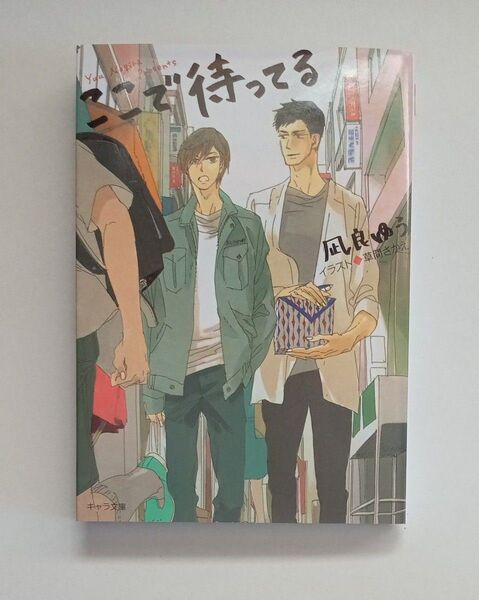 ここで待ってる 文庫本 凪良ゆう
