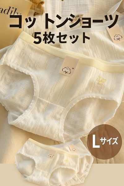綿コットン女性ショーツ 5枚セット【L】パンツ 下着 新品