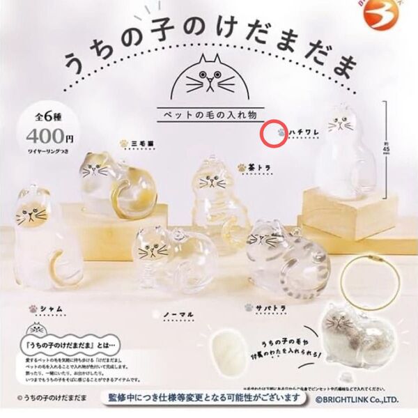 うちの子のけだまだま ハチワレ 猫 ガチャガチャ ネコ 毛玉 ねこ ガチャ カプセルトイ