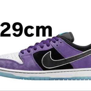 Hayley Wilson × Nike SB Dunk Low Pro "Black and Court Purple"