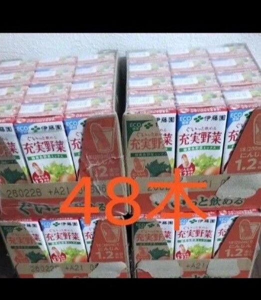 48本 伊藤園 ぐいっと飲める充実野菜 200ml 野菜ジュース 栄養補給ドリンク 緑黄色野菜ミックス 紙パック