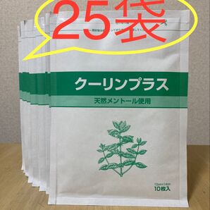 得得25袋セット!即決限定 クーリンプラス10枚入り×25袋