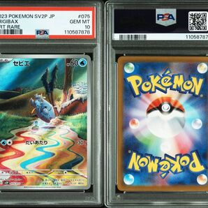 PSA10 連番 セビエ セゴール セグレイブ