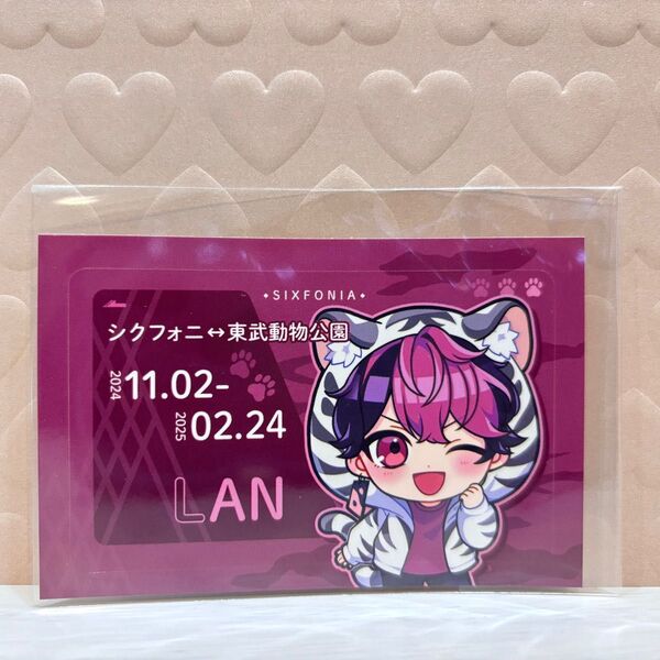 シクフォニ LAN ICステッカー