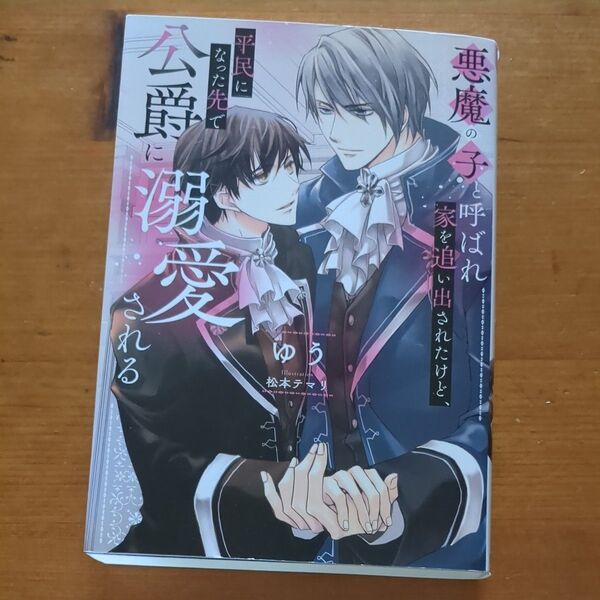 小説 BL 悪魔の子と呼ばれ家を追い出されたけど、平民になった先で公爵に溺愛される (&arche NOVELS) ゆう