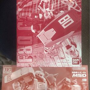 【夏休みはガンプラ!】ガンプラ プレバン限定 2種セット MG F80 ガンレイド/HG デザート・ザク(ピンクパンサー隊機)