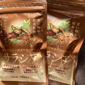 約1年分 サラシア 菊芋エキス バナバエキス ダイエット