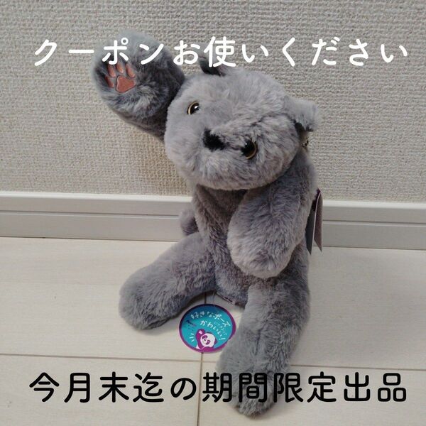 未使用品◆POU ZOO ぬいぐるみ ペンケース 猫 ねこ ネコ