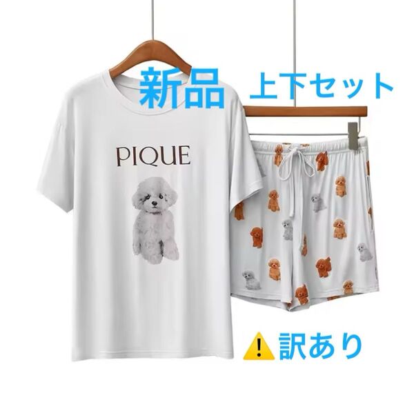 ジェラートピケ ショートパンツ Tシャツ 上下セット 新品未使用 プードル