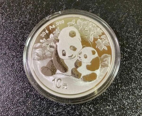 パンダ 銀貨 2024 純銀 30グラム