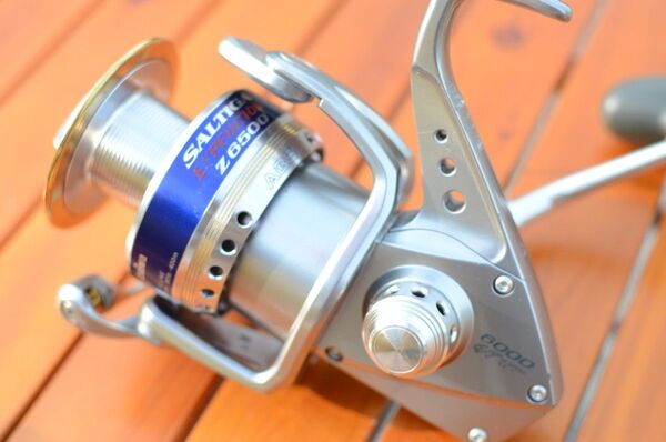 DAIWA SALTIGA 6000 GT (スプール EXPEDITION Z6500)