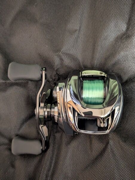 ダイワ 24スティーズSV TW 100XH