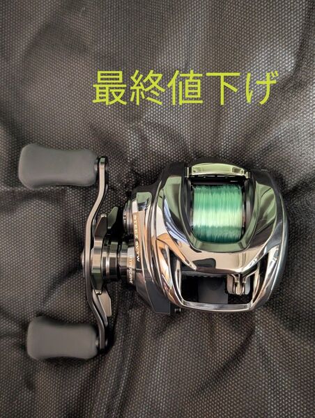 ダイワ 24スティーズSV TW 100XH