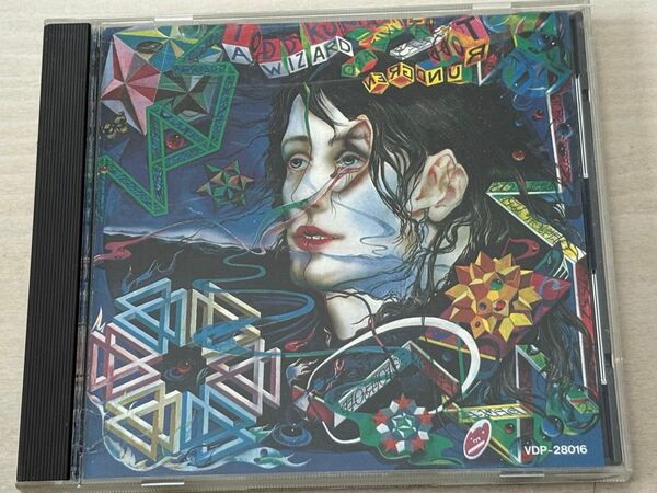 トッド・ラングレン『魔法使いは真実のスター』(A Wizard, a True Star) Todd Rundgren