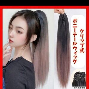 ウィッグ ストレート ロング クリップ アッシュピンクブラック ダンス パーティー 部分ウィッグ