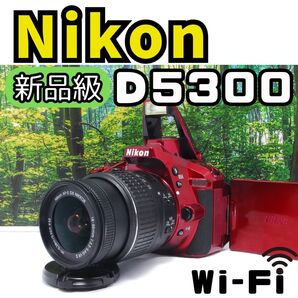 【希少レッド】 Nikon D5300 標準レンズセット 元箱あり 一眼レフ ショット数554回 ほぼ新品 赤 レッド