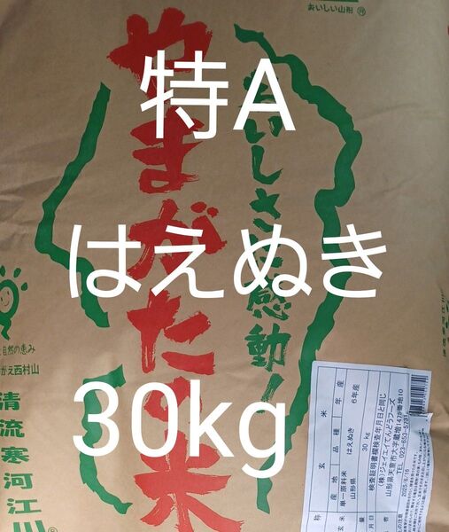 特A 山形県産 はえぬき 玄米 30kg 令和6年産