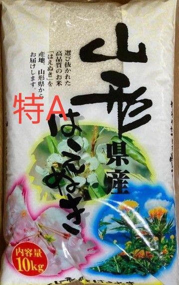 特A 山形県産 はえぬき 10kg 白米 令和6年産 精米日令和7年4月30日