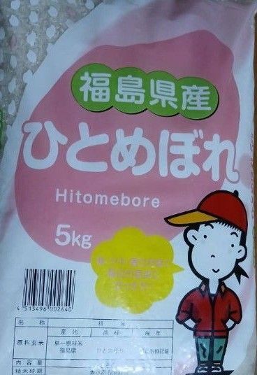 ひとめぼれ 10kg 5kg×2袋 白米 精米日令和7年5月中旬 福島県産 令和6年産 全国送料無料
