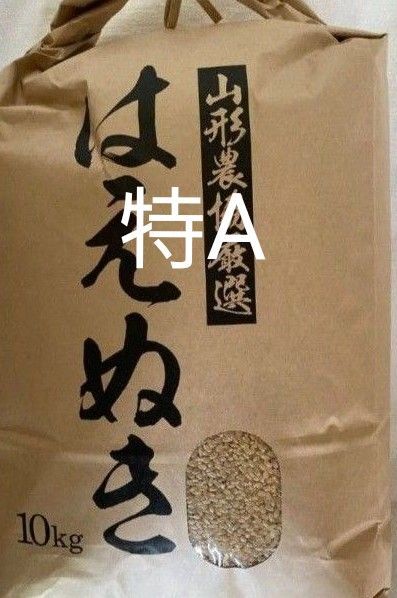 特A 山形県産 はえぬき 玄米 10kg 令和6年産