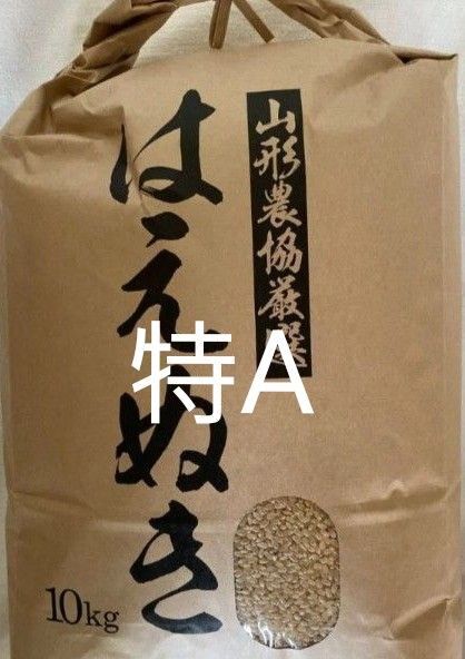はえぬき 特A 10kg 玄米 山形県産 令和6年産 冷蔵保管