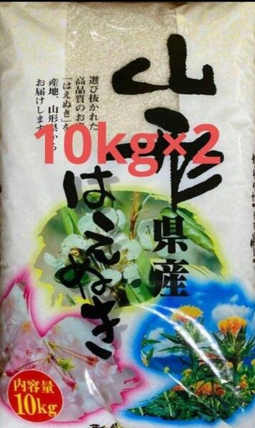 特A はえぬき 山形県産 令和6年産 20kg 10kg×2袋 白米 令和7年5月中旬精米 全国送料無料