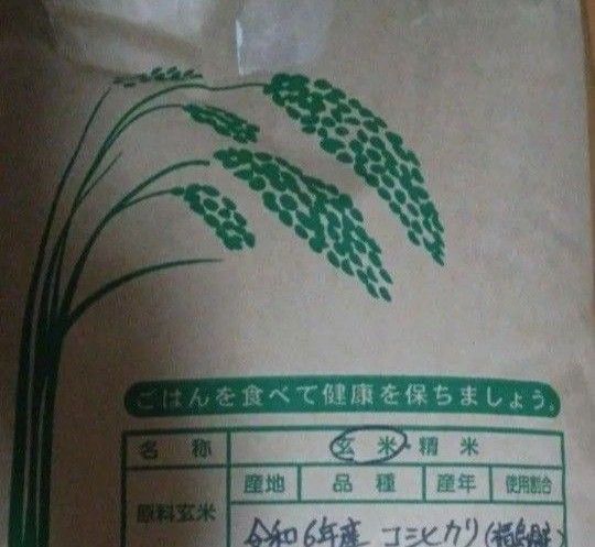 コシヒカリ 10kg 玄米 福島県 令和6年産 全国送料無料