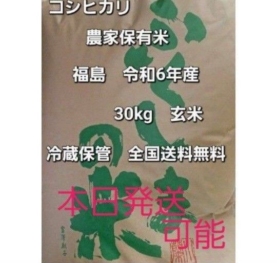 コシヒカリ 玄米 30kg 福島県 令和6年産 農家保有米 冷蔵保管 全国送料無料
