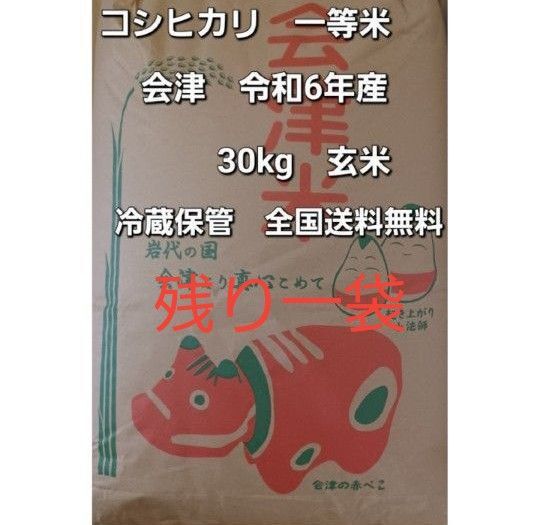 コシヒカリ 玄米 30kg 会津産 令和6年産 一等米 冷蔵保管 全国送料無料