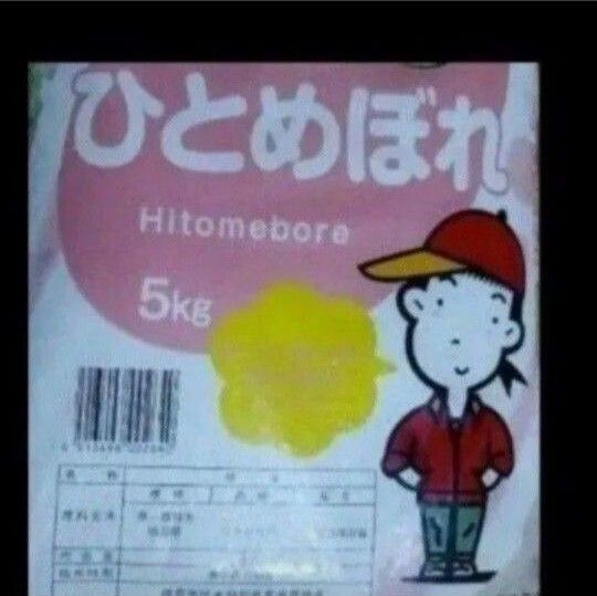 ひとめぼれ 10kg 5kg×2袋 白米 精米日令和7年5月中旬 福島県産 令和6年産 全国送料無料