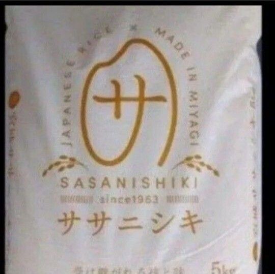 希少 ササニシキ 宮城県 令和6年産 白米 5kg×2袋 合計10kg 令和7年5月下旬精米 全国送料無料