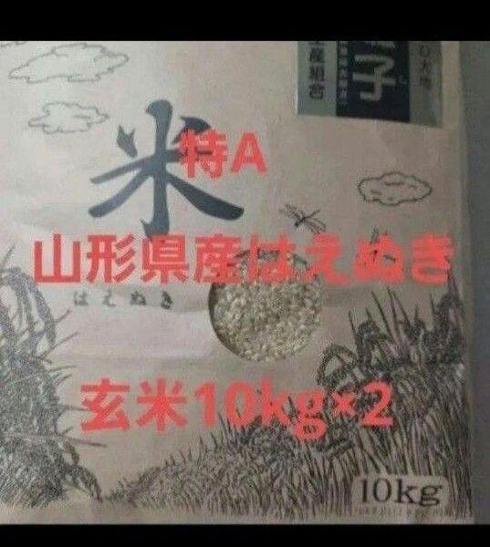 特A 山形県産 はえぬき 玄米 20kg 10kg×2袋 令和6年産 送料無料