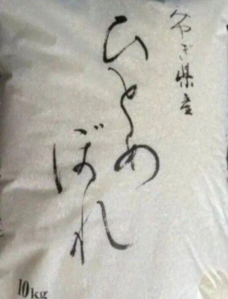 ひとめぼれ 白米 10kg 宮城県 令和6年産 令和7年5月上旬精米 全国送料無料