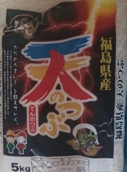 天のつぶ 20kg 5kg×4袋 福島県 令和6年 令和7年5月中旬精米 全国送料無料