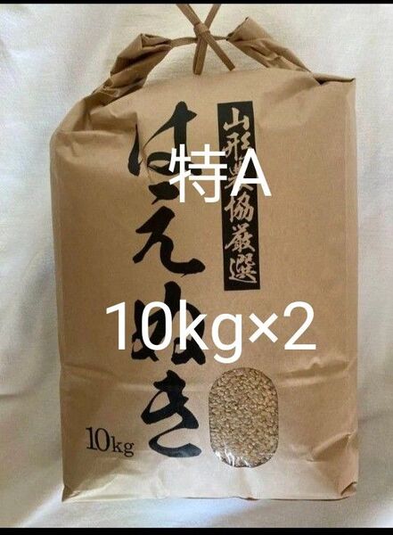 山形県産 はえぬき 玄米 20kg 10kg×2 令和6年産 冷蔵保管 令和6年産