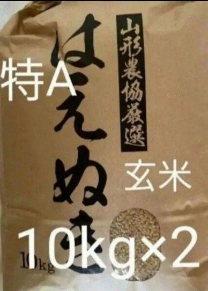 特A はえぬき 20kg 10kg×2袋 玄米 山形県令和6年産 全国送料無料