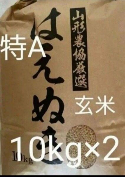 特A はえぬき 20kg 10kg×2袋 玄米 山形県令和6年産 全国送料無料