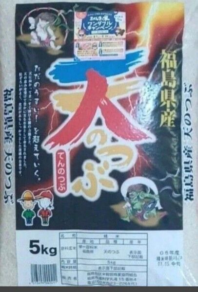 天のつぶ 10kg 5k×2袋 白米 精米日令和7年5月中旬 福島県 令和6年産 全国送料無料